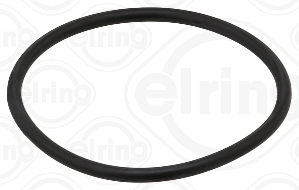 Seal Ring (843.510)