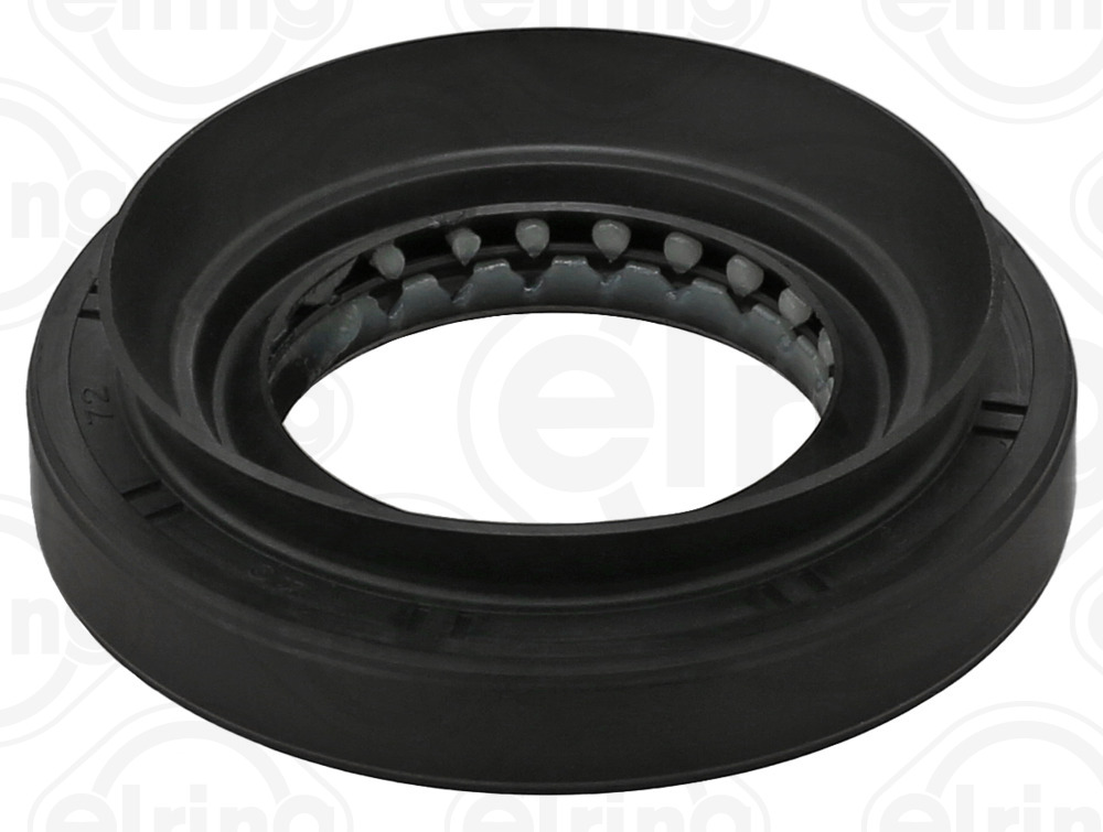 Shaft Seal, differential