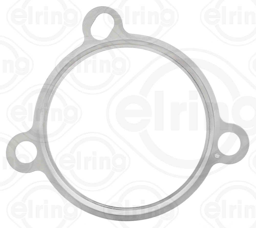 Gasket, EGR valve (926.940)