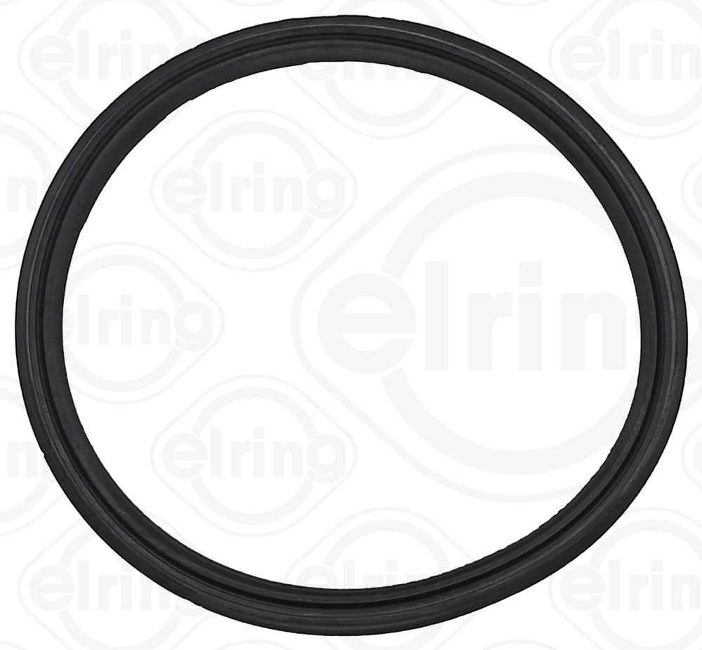 Seal Ring