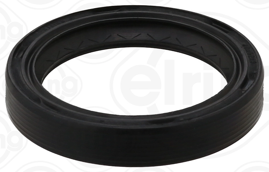 Shaft Seal, differential