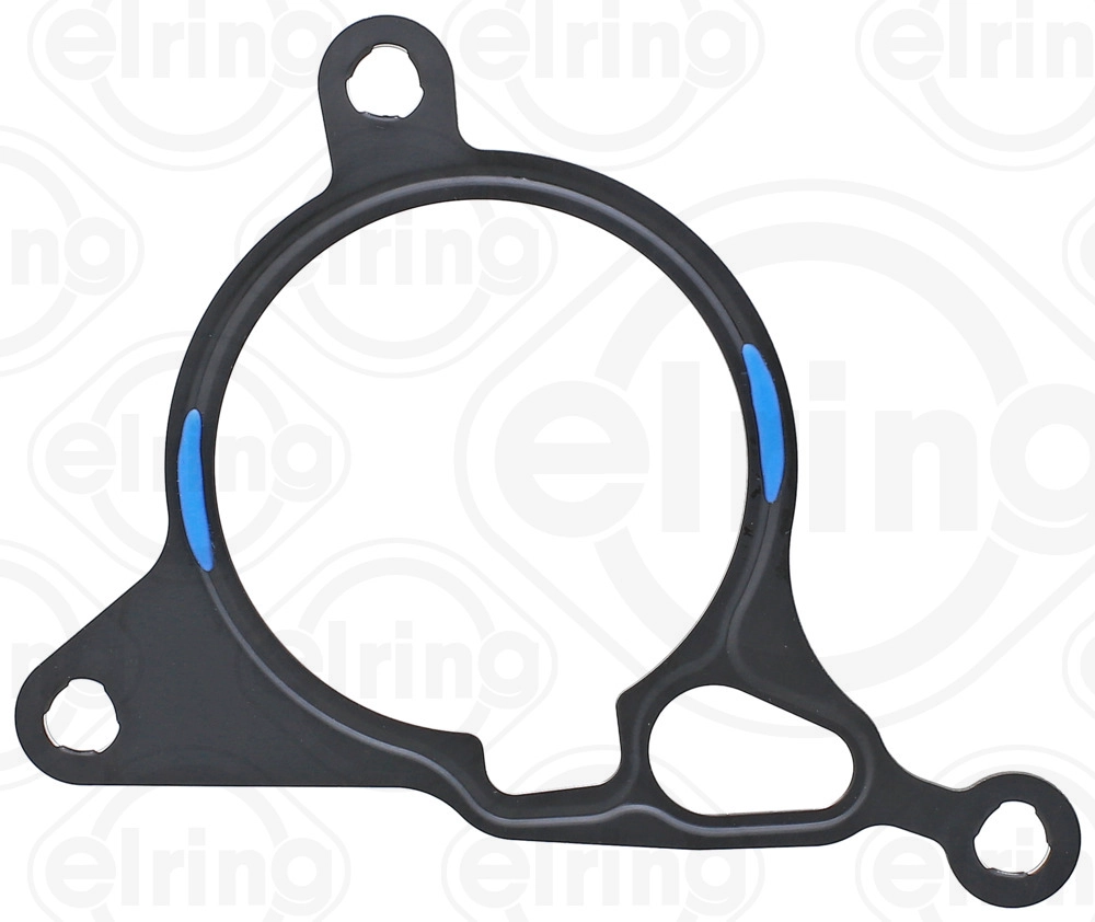 Gasket, vacuum pump (443.020)