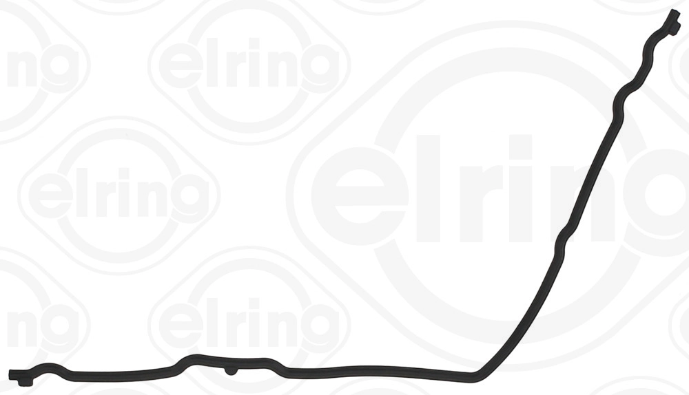 Gasket, timing case