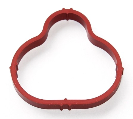 Gasket, intake manifold (111.540)