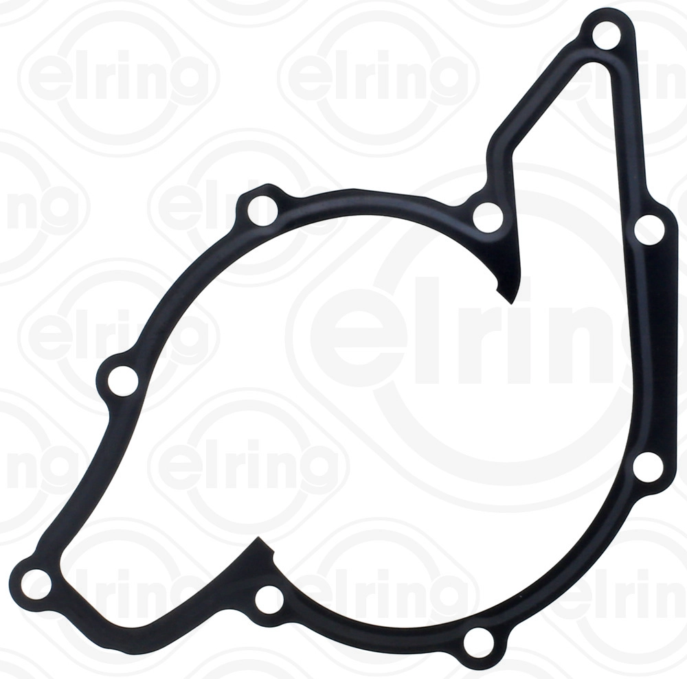 Gasket, water pump (710.560)
