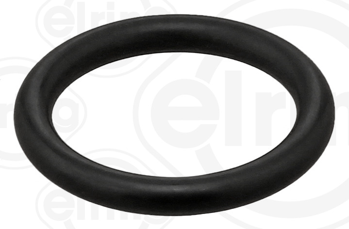 Seal Ring (351.550)