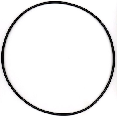 Seal Ring (315.621)