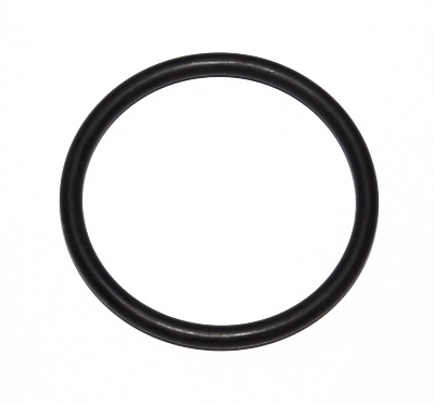 Seal Ring (219.711)