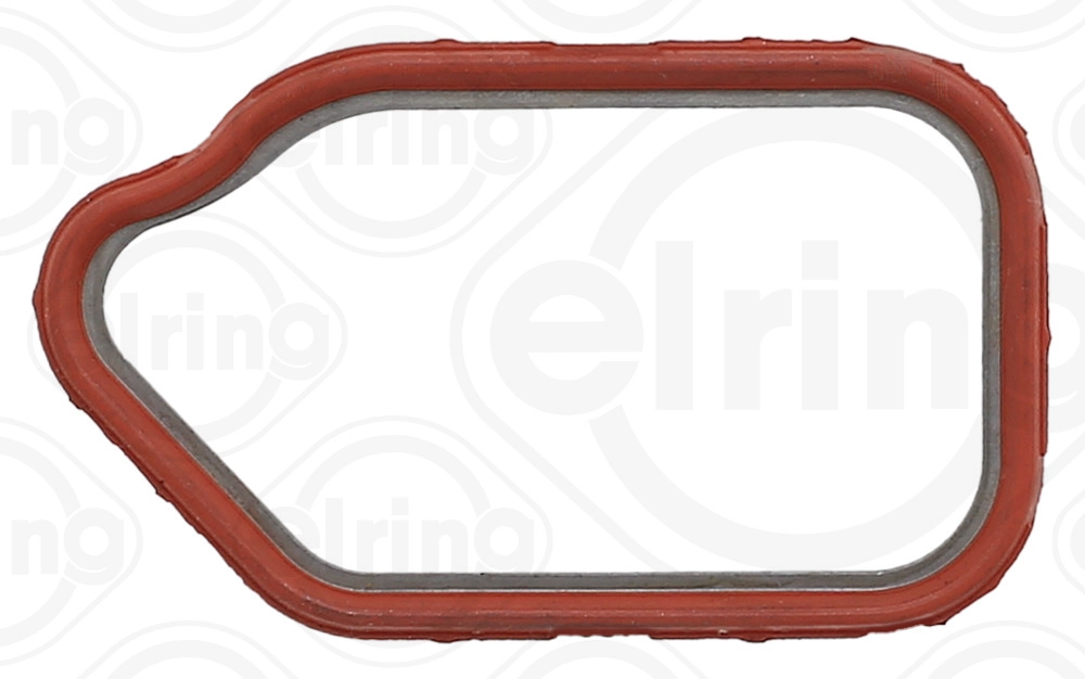 Gasket, timing case