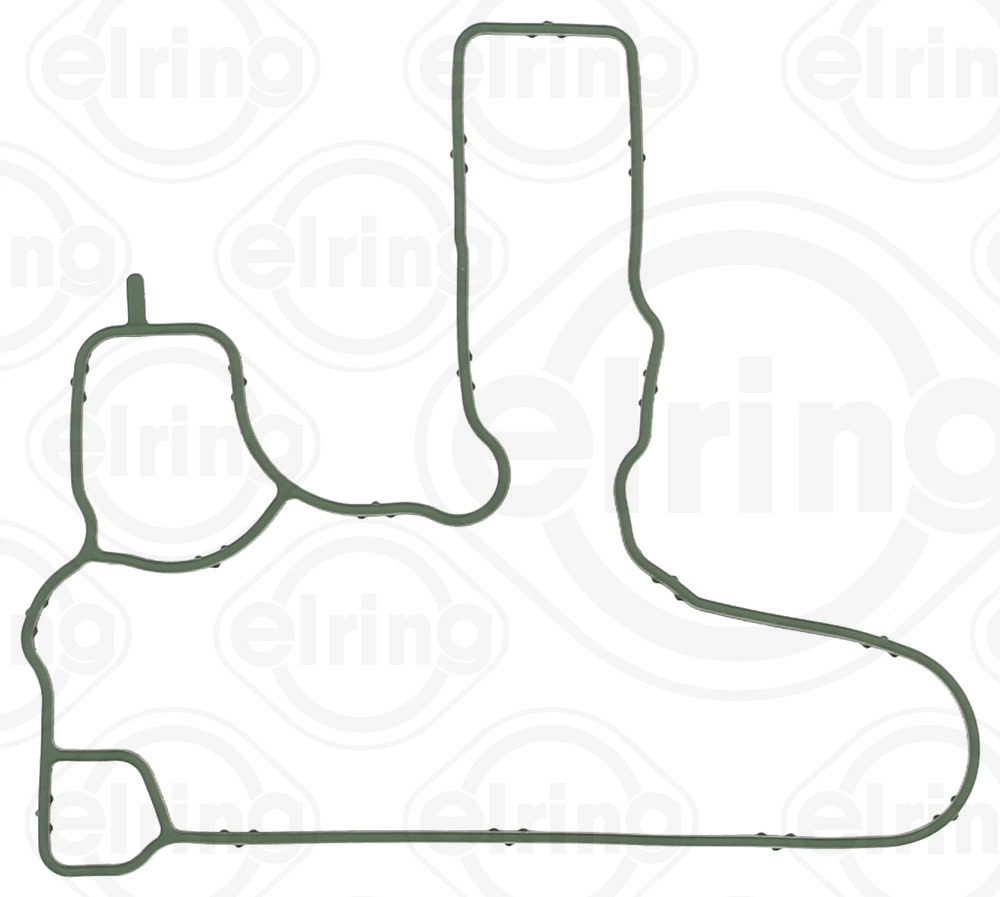 Gasket, crankcase ventilation