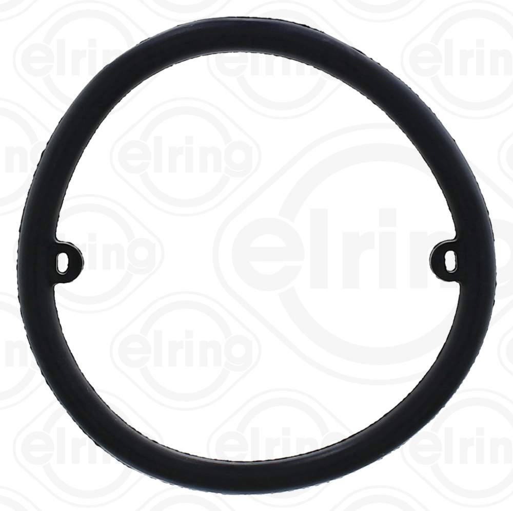Seal Ring