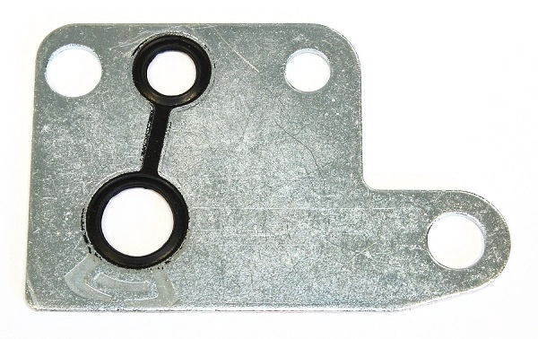 Gasket, vacuum pump (251.080)