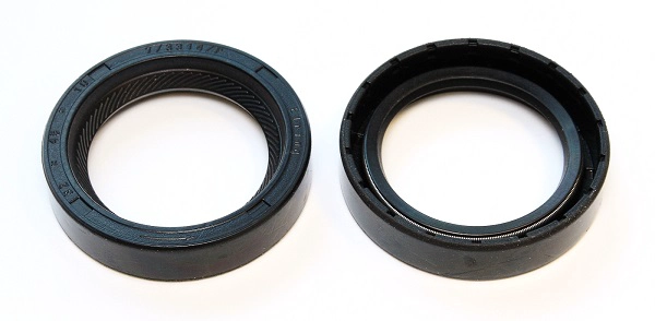 Shaft Seal, camshaft (303.291)