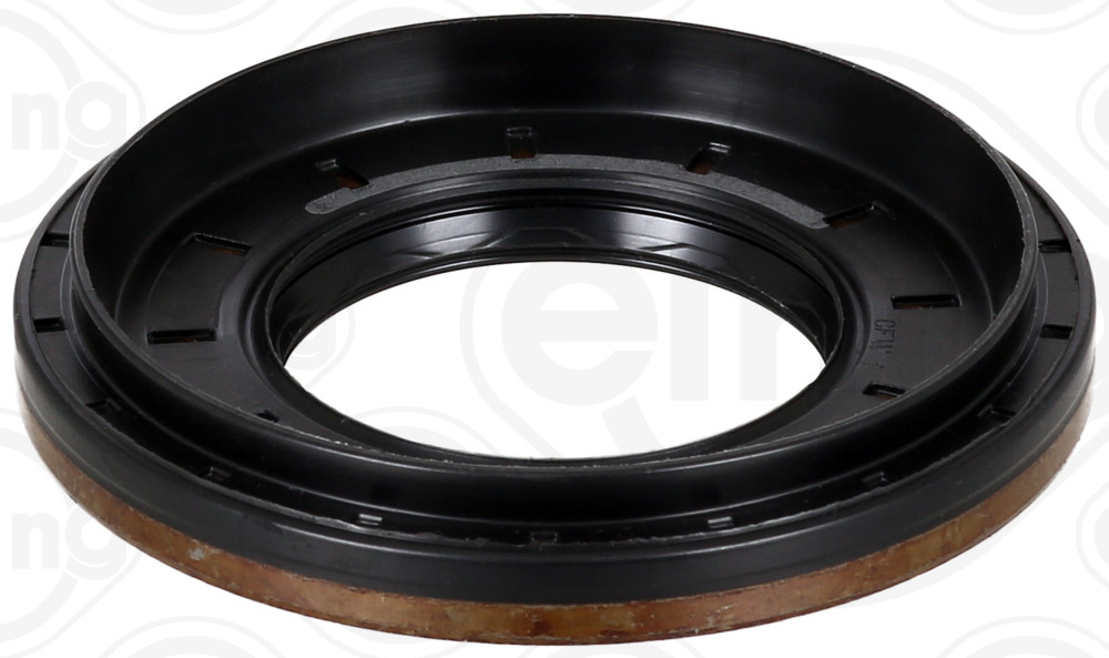 Shaft Seal, differential