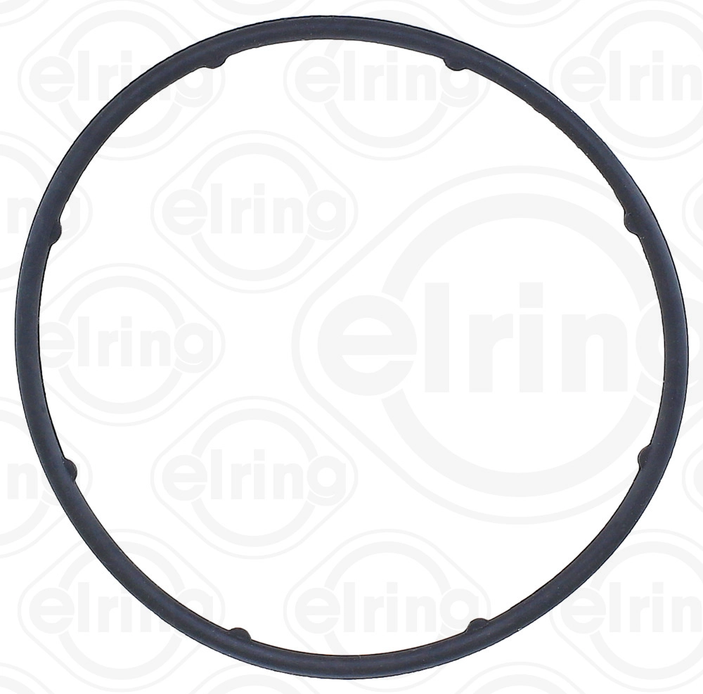 Seal Ring