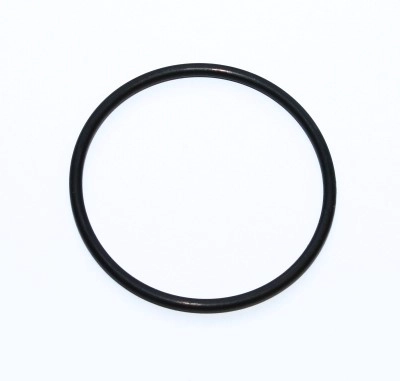Seal Ring (312.207)
