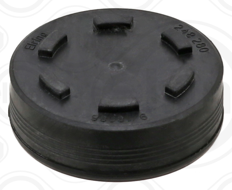 Locking Cover, camshaft (248.280)