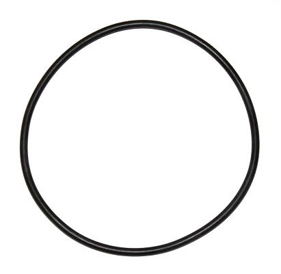 Seal Ring (000.924)