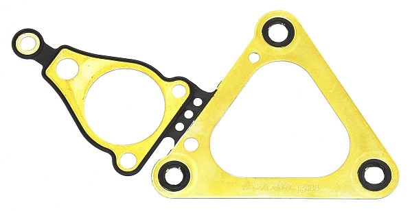 Gasket, timing case (365.221)