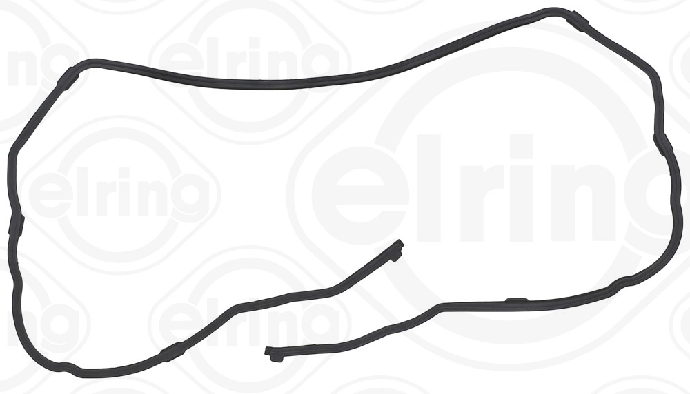 Gasket, timing case