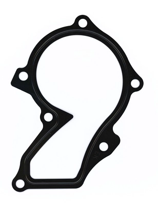 Gasket, water pump (264.420)