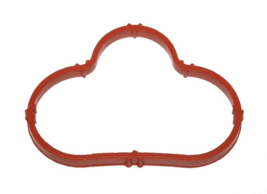 Gasket, intake manifold (216.500)
