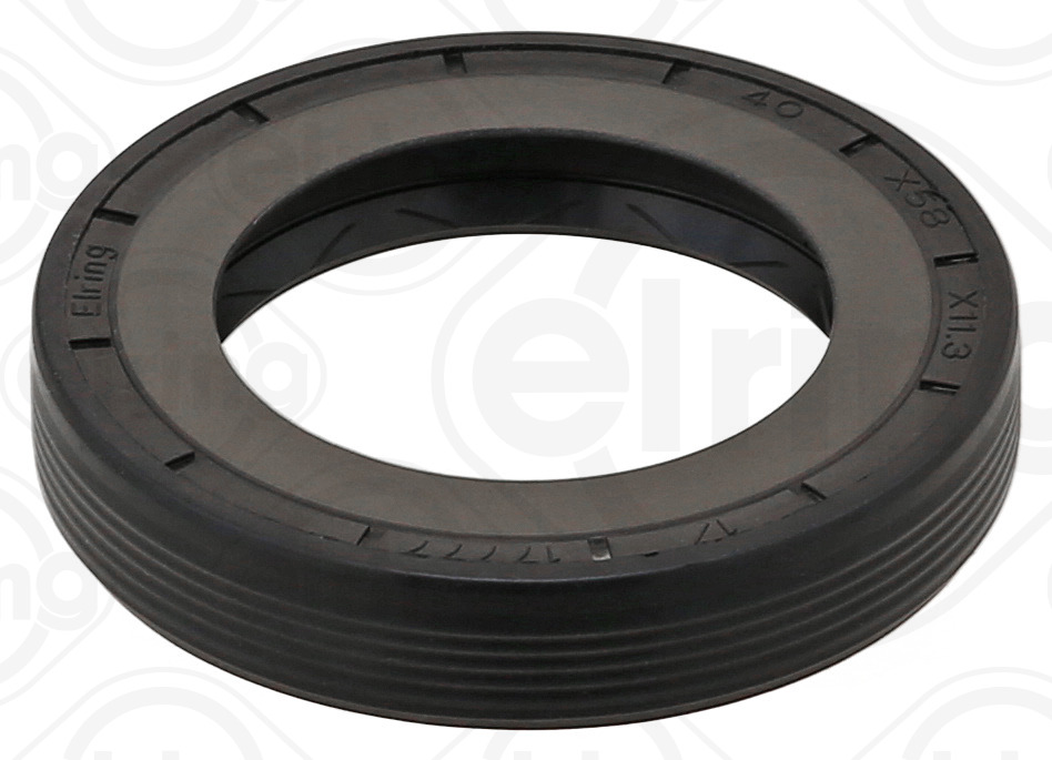 Shaft Seal, differential