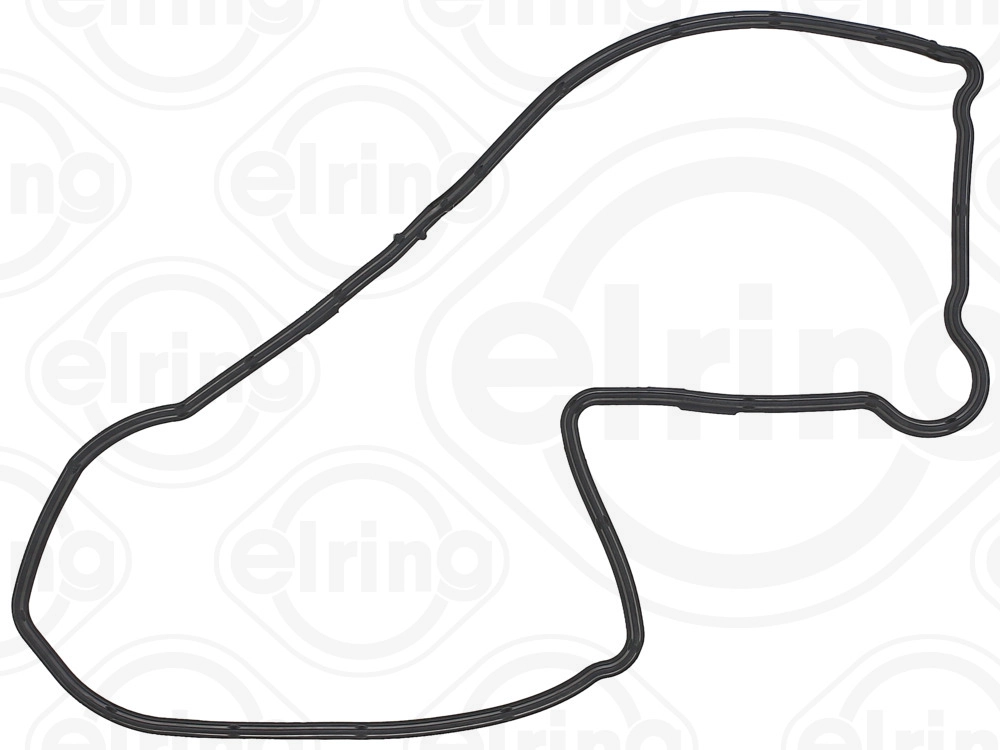 Gasket, timing case cover