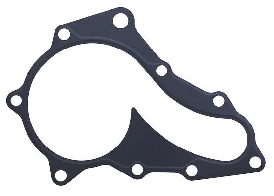 Gasket, water pump (374.950)