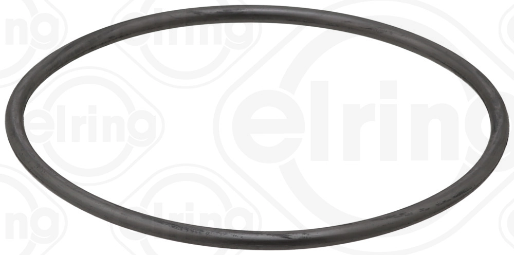 Seal Ring (091.723)