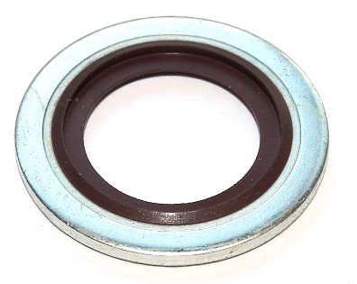Seal Ring (153.290)
