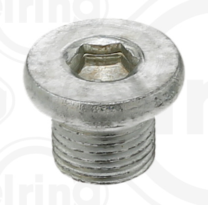 Screw Plug, oil sump (587.160)