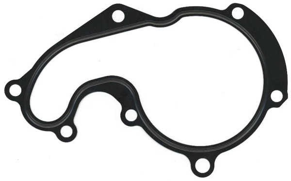 Gasket, water pump (027.811)