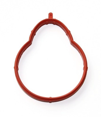 Gasket, intake manifold (359.370)