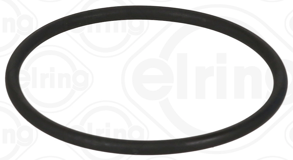 Seal Ring (538.010)