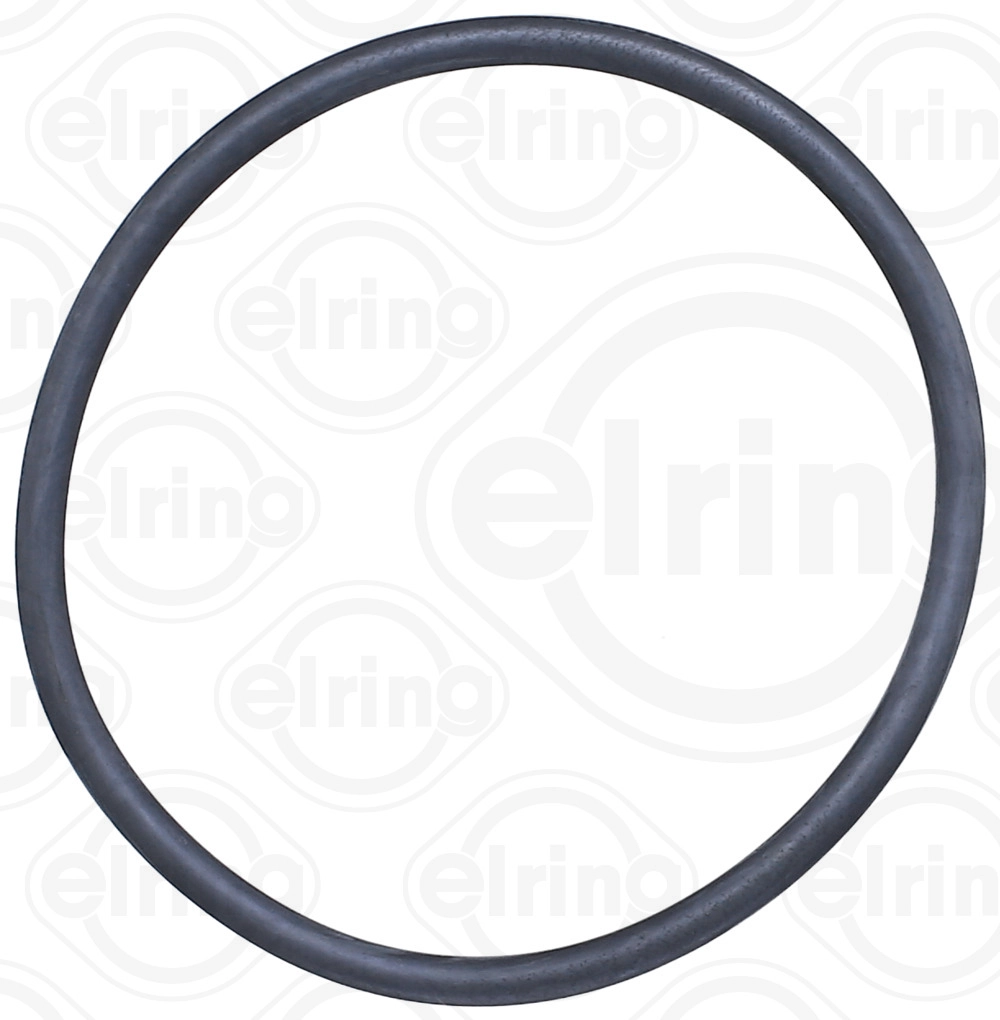 Seal Ring