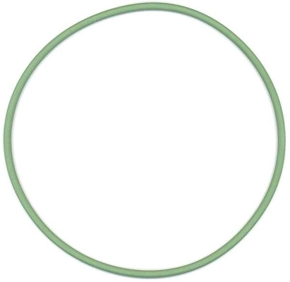 Seal Ring (523.232)
