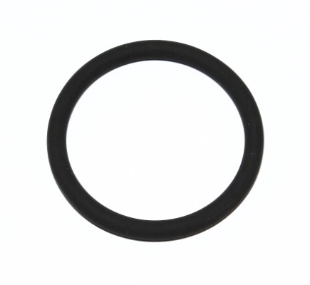 Seal Ring (165.520)