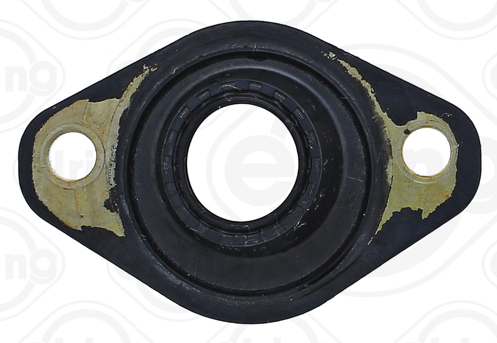 Seal Ring, injector