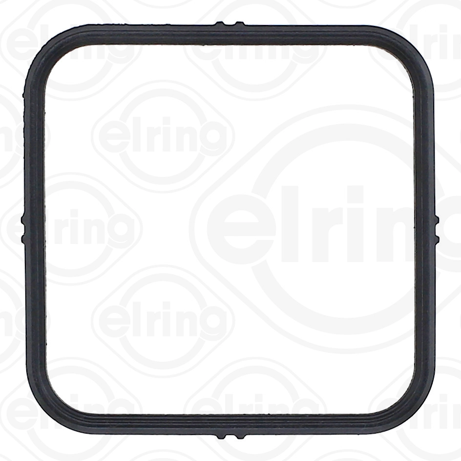 Gasket, thermostat housing