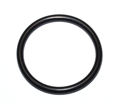 Seal Ring (095.842)