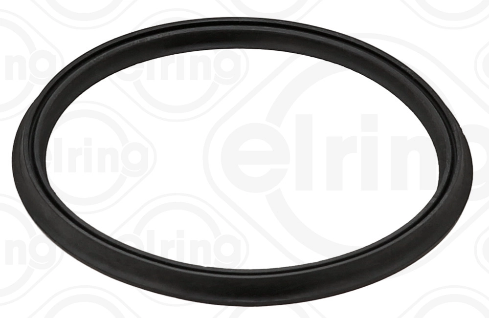 Seal Ring (087.320)
