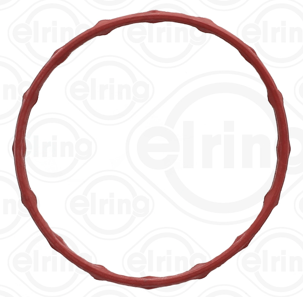Seal Ring