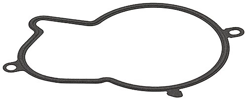 Seal, injection pump (793.480)