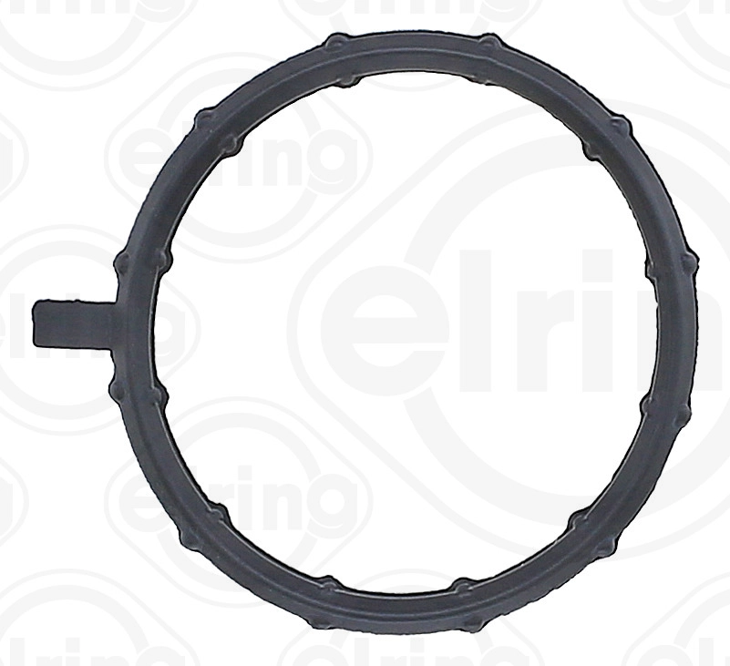 Seal Ring