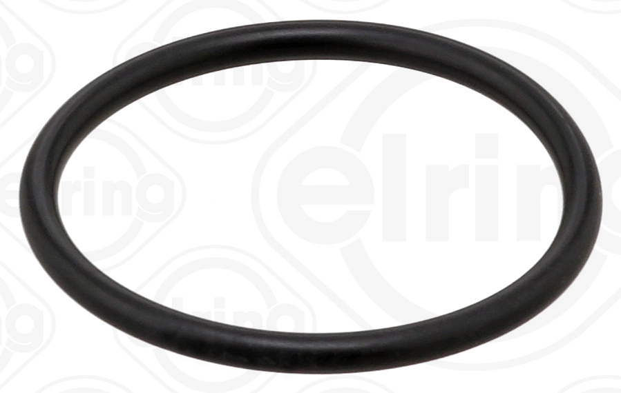 Seal Ring (622.370)