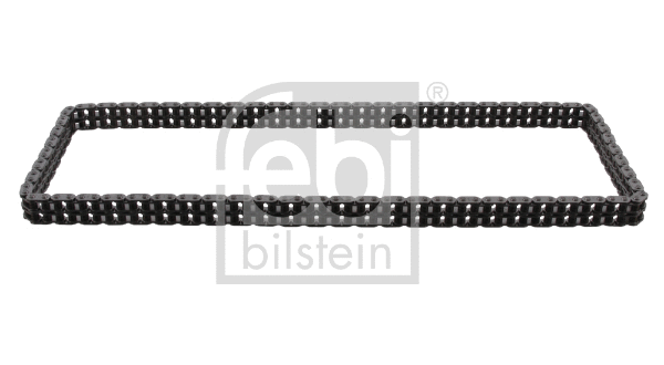 Timing Chain (25431)