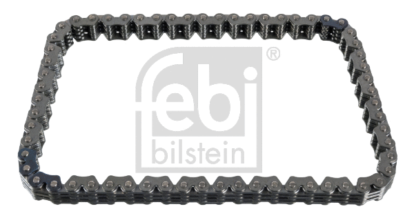 Timing Chain (100074)
