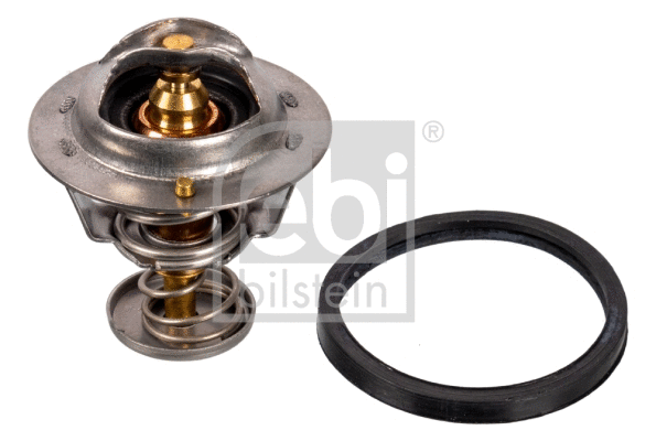 Thermostat, coolant (24998)