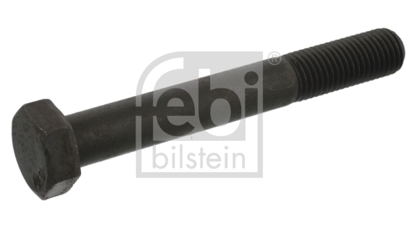 Screw (06883)